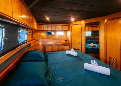 Horizon Elegance 52